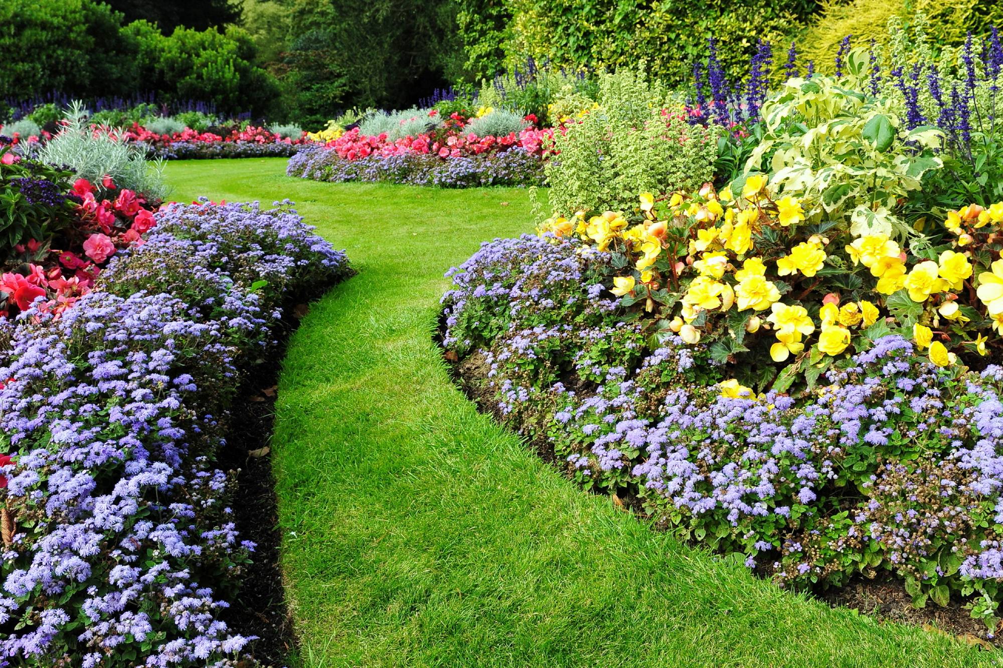 Farbige Blumenbeete und eine Rasenfläche mit Windung